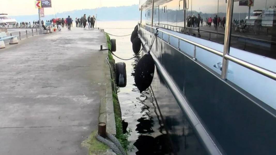 Beşiktaş'ta kedi kurtarma operasyonu: Denize düştü, dalgıça sarıldı 5